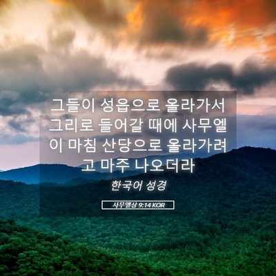 Picture 05 - 사무엘상 9:14 KOR - 그들이 성읍으로 올라가서 그리로 - Bible Verse Picture