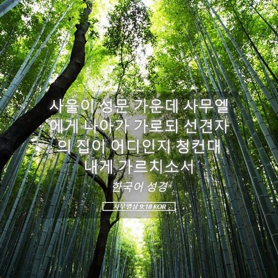 Picture 05 - 사무엘상 9:18 KOR - 사울이 성문 가운데 사무엘에게 - Bible Verse Picture