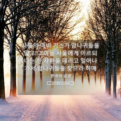 Picture 05 - 사무엘상 9:3 KOR - 사울의 아비 기스가 암나귀들을 잃고 - Bible Verse Picture