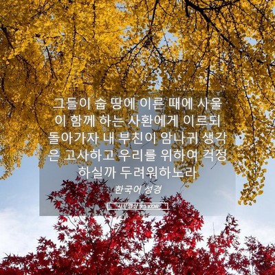 Picture 05 - 사무엘상 9:5 KOR - 그들이 숩 땅에 이른 때에 사울이 - Bible Verse Picture