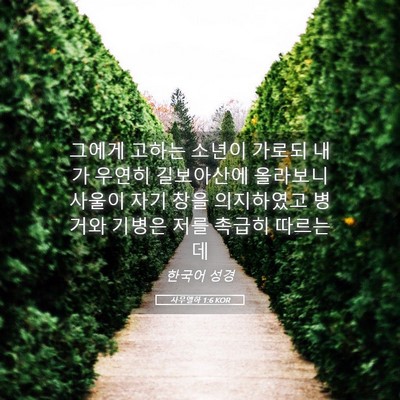 Picture 05 - 사무엘하 1:6 KOR - 그에게 고하는 소년이 가로되 내가 - Bible Verse Picture