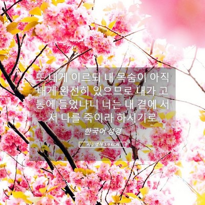 Picture 05 - 사무엘하 1:9 KOR - 또 내게 이르되 내 목숨이 아직 내게 - Bible Verse Picture
