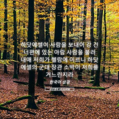 Picture 05 - 사무엘하 10:16 KOR - 하닷에셀이 사람을 보내어 강 - Bible Verse Picture