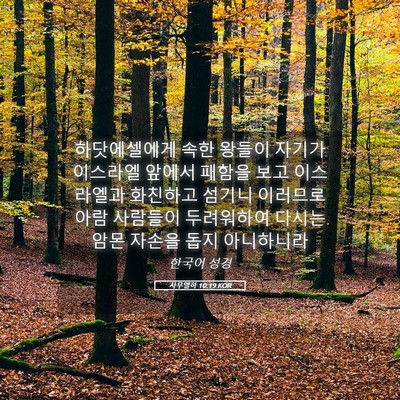 Picture 05 - 사무엘하 10:19 KOR - 하닷에셀에게 속한 왕들이 자기가 - Bible Verse Picture