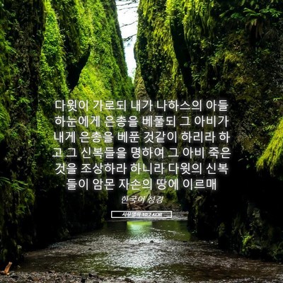 Picture 05 - 사무엘하 10:2 KOR - 다윗이 가로되 내가 나하스의 아들 - Bible Verse Picture