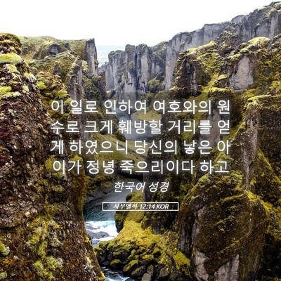 Picture 05 - 사무엘하 12:14 KOR - 이 일로 인하여 여호와의 원수로 - Bible Verse Picture