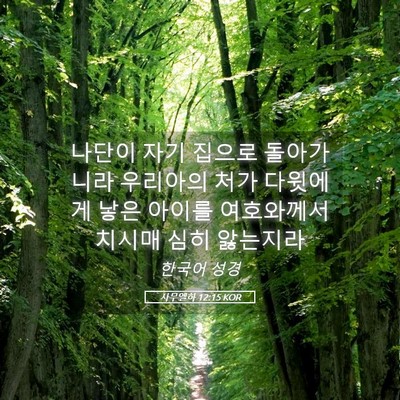 Picture 05 - 사무엘하 12:15 KOR - 나단이 자기 집으로 돌아가니라 - Bible Verse Picture