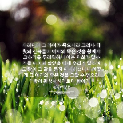 Picture 05 - 사무엘하 12:18 KOR - 이레만에 그 아이가 죽으니라 그러나 - Bible Verse Picture