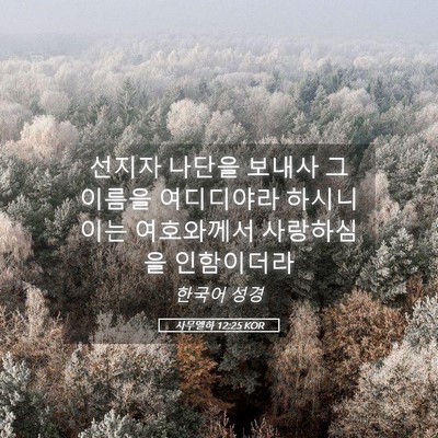 Picture 05 - 사무엘하 12:25 KOR - 선지자 나단을 보내사 그 이름을 - Bible Verse Picture