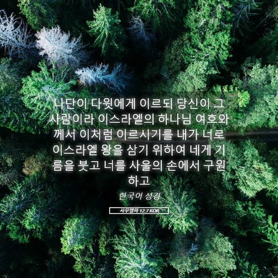 Picture 05 - 사무엘하 12:7 KOR - 나단이 다윗에게 이르되 당신이 그 - Bible Verse Picture