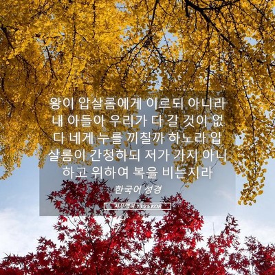Picture 05 - 사무엘하 13:25 KOR - 왕이 압살롬에게 이르되 아니라 내 - Bible Verse Picture