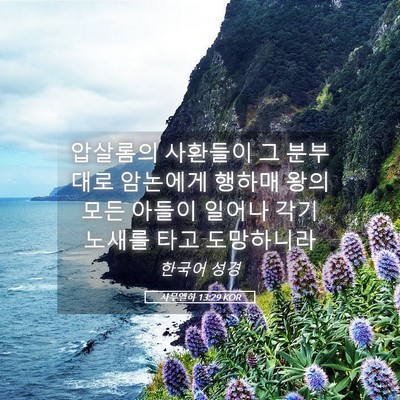 Picture 05 - 사무엘하 13:29 KOR - 압살롬의 사환들이 그 분부대로 - Bible Verse Picture