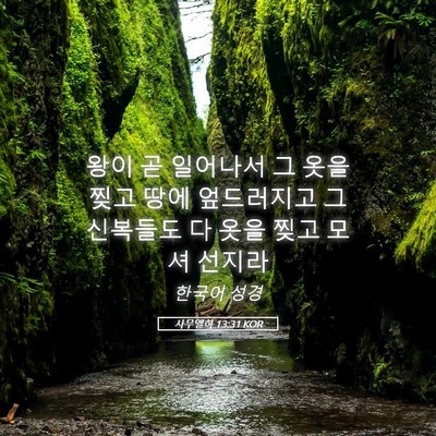 Picture 05 - 사무엘하 13:31 KOR - 왕이 곧 일어나서 그 옷을 찢고 땅에 - Bible Verse Picture