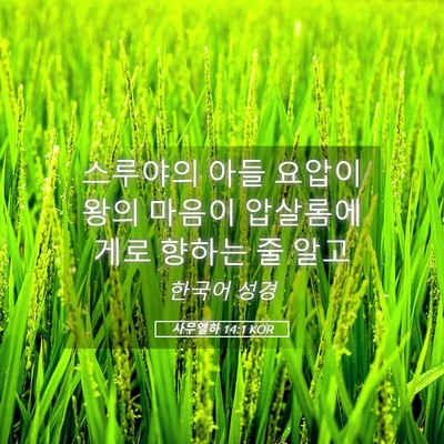 Picture 05 - 사무엘하 14:1 KOR - 스루야의 아들 요압이 왕의 마음이 - Bible Verse Picture