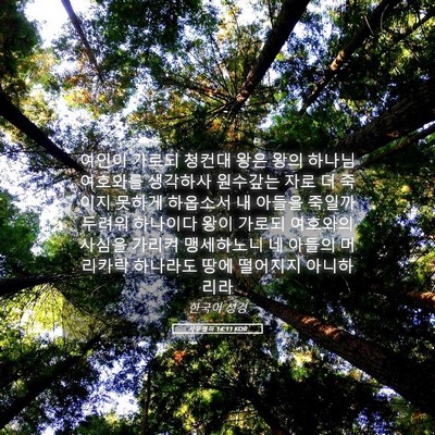 Picture 05 - 사무엘하 14:11 KOR - 여인이 가로되 청컨대 왕은 왕의 - Bible Verse Picture