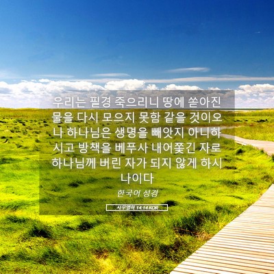 Picture 05 - 사무엘하 14:14 KOR - 우리는 필경 죽으리니 땅에 쏟아진 - Bible Verse Picture