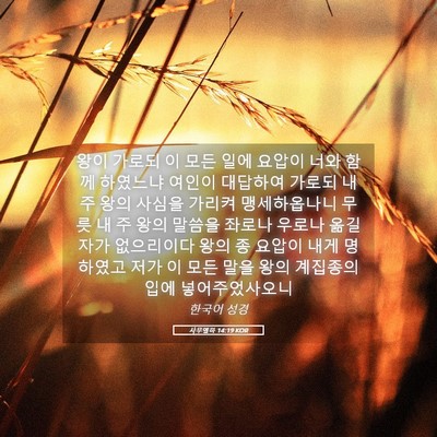 Picture 05 - 사무엘하 14:19 KOR - 왕이 가로되 이 모든 일에 요압이 - Bible Verse Picture