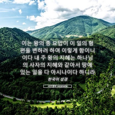 Picture 05 - 사무엘하 14:20 KOR - 이는 왕의 종 요압이 이 일의 형편을 - Bible Verse Picture