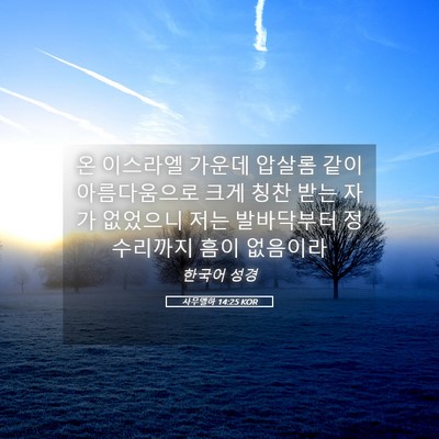 Picture 05 - 사무엘하 14:25 KOR - 온 이스라엘 가운데 압살롬 같이 - Bible Verse Picture