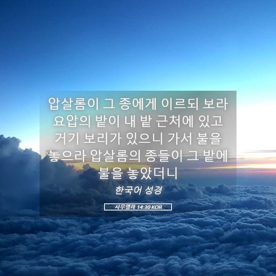 Picture 05 - 사무엘하 14:30 KOR - 압살롬이 그 종에게 이르되 보라 - Bible Verse Picture
