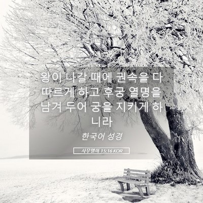 Picture 05 - 사무엘하 15:16 KOR - 왕이 나갈 때에 권속을 다 따르게 - Bible Verse Picture