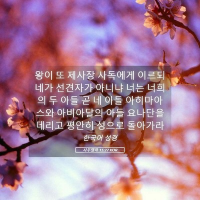 Picture 05 - 사무엘하 15:27 KOR - 왕이 또 제사장 사독에게 이르되 - Bible Verse Picture