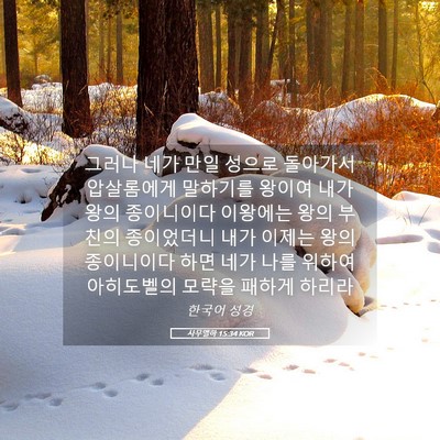 Picture 05 - 사무엘하 15:34 KOR - 그러나 네가 만일 성으로 돌아가서 - Bible Verse Picture