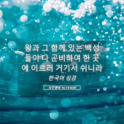 Picture 05 - 사무엘하 16:14 KOR - 왕과 그 함께 있는 백성들이 다 - Bible Verse Picture