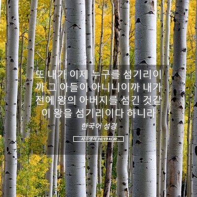 Picture 05 - 사무엘하 16:19 KOR - 또 내가 이제 누구를 섬기리이까 그 - Bible Verse Picture