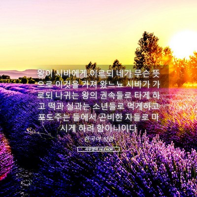 Picture 05 - 사무엘하 16:2 KOR - 왕이 시바에게 이르되 네가 무슨 - Bible Verse Picture