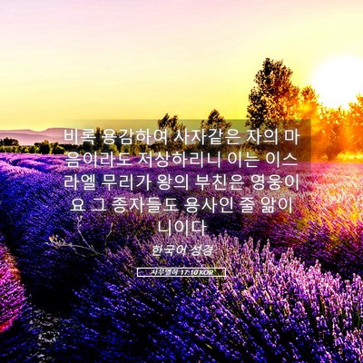 Picture 05 - 사무엘하 17:10 KOR - 비록 용감하여 사자같은 자의 - Bible Verse Picture