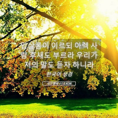Picture 05 - 사무엘하 17:5 KOR - 압살롬이 이르되 아렉 사람 후새도 - Bible Verse Picture