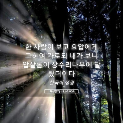 Picture 05 - 사무엘하 18:10 KOR - 한 사람이 보고 요압에게 고하여 - Bible Verse Picture