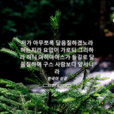 Picture 05 - 사무엘하 18:23 KOR - 저가 아무쪼록 달음질하겠노라 - Bible Verse Picture