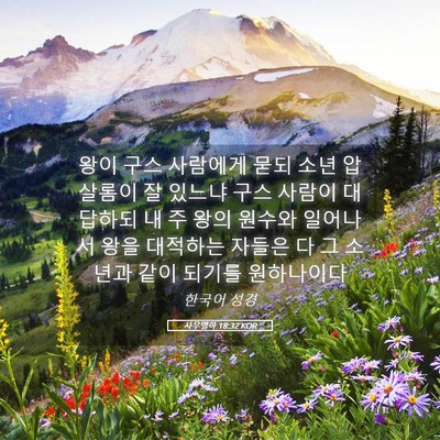 Picture 05 - 사무엘하 18:32 KOR - 왕이 구스 사람에게 묻되 소년 - Bible Verse Picture