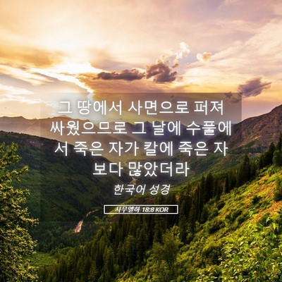 Picture 05 - 사무엘하 18:8 KOR - 그 땅에서 사면으로 퍼져 싸웠으므로 - Bible Verse Picture