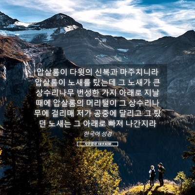 Picture 05 - 사무엘하 18:9 KOR - 압살롬이 다윗의 신복과 마주치니라 - Bible Verse Picture