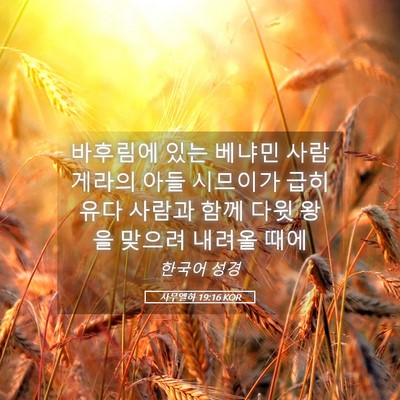 Picture 05 - 사무엘하 19:16 KOR - 바후림에 있는 베냐민 사람 게라의 - Bible Verse Picture
