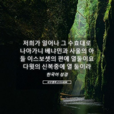 Picture 05 - 사무엘하 2:15 KOR - 저희가 일어나 그 수효대로 나아가니 - Bible Verse Picture