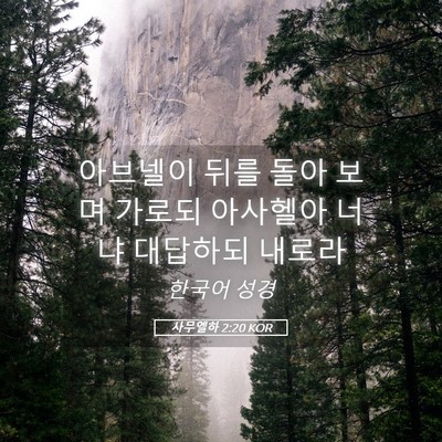 Picture 05 - 사무엘하 2:20 KOR - 아브넬이 뒤를 돌아 보며 가로되 - Bible Verse Picture