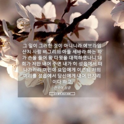 Picture 05 - 사무엘하 20:21 KOR - 그 일이 그러한 것이 아니니라 - Bible Verse Picture