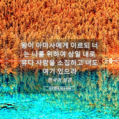Picture 05 - 사무엘하 20:4 KOR - 왕이 아마사에게 이르되 너는 나를 - Bible Verse Picture