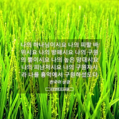 Picture 05 - 사무엘하 22:3 KOR - 나의 하나님이시요 나의 피할 - Bible Verse Picture
