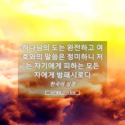 Picture 05 - 사무엘하 22:31 KOR - 하나님의 도는 완전하고 여호와의 - Bible Verse Picture