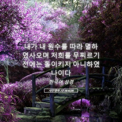 Picture 05 - 사무엘하 22:38 KOR - 내가 내 원수를 따라 멸하였사오며 - Bible Verse Picture