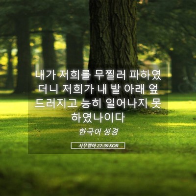 Picture 05 - 사무엘하 22:39 KOR - 내가 저희를 무찔러 파하였더니 - Bible Verse Picture
