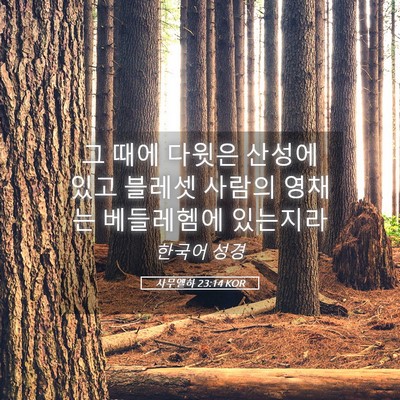 Picture 05 - 사무엘하 23:14 KOR - 그 때에 다윗은 산성에 있고 블레셋 - Bible Verse Picture