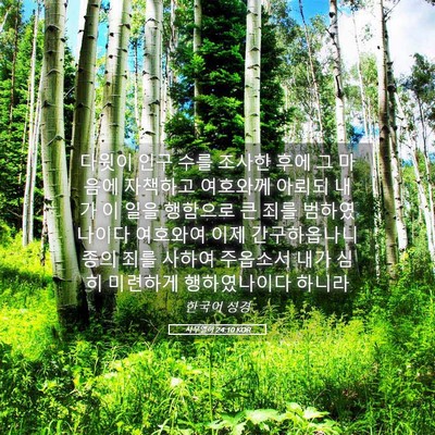 Picture 05 - 사무엘하 24:10 KOR - 다윗이 인구 수를 조사한 후에 그 - Bible Verse Picture