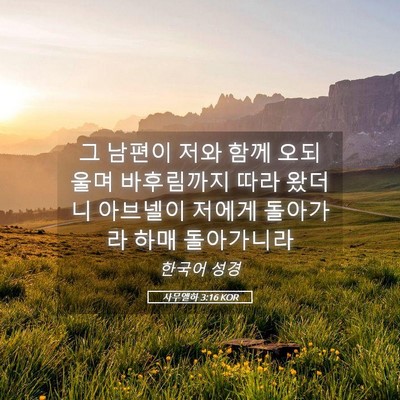 Picture 05 - 사무엘하 3:16 KOR - 그 남편이 저와 함께 오되 울며 - Bible Verse Picture