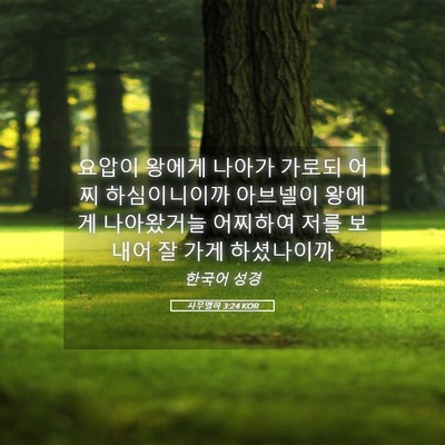 Picture 05 - 사무엘하 3:24 KOR - 요압이 왕에게 나아가 가로되 어찌 - Bible Verse Picture